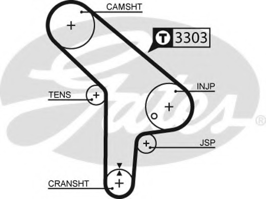 bmw timing belt