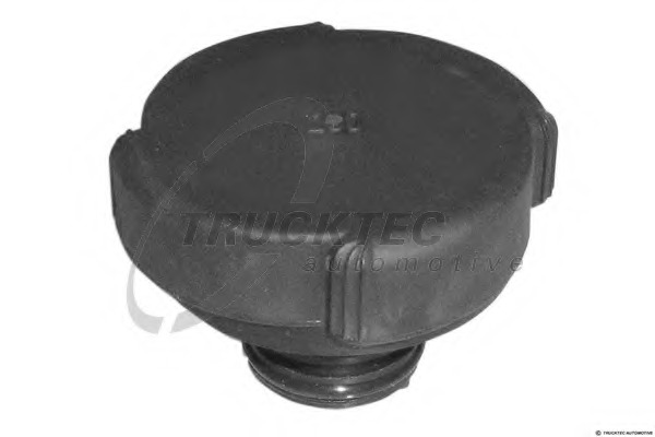 BMW 17 11 1 742 231 Radiator Cap