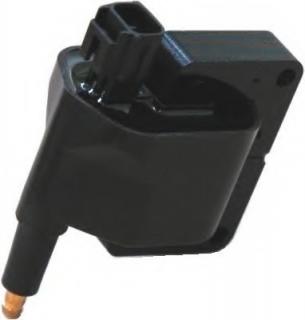 Delphi GN10174 Ignition Coil