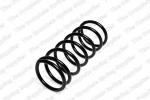 Coil spring