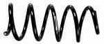 Coil spring
