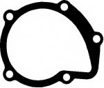 Junta, bomba de água