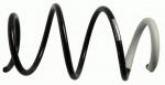 Coil spring