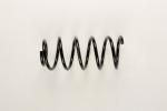 Coil spring