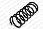 Coil spring