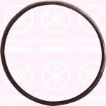 Seal, fuel sender unit