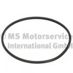 Seal, fuel sender unit; Seal, fuel tank cap