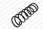 Coil spring