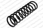 Coil spring
