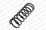Coil spring