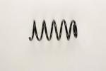 Coil spring