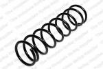 Coil spring